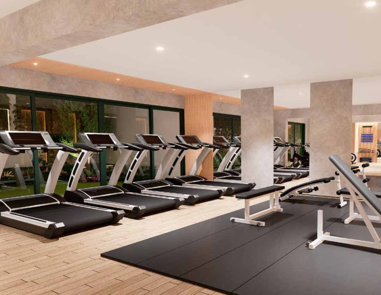 Gimnasio Equipado